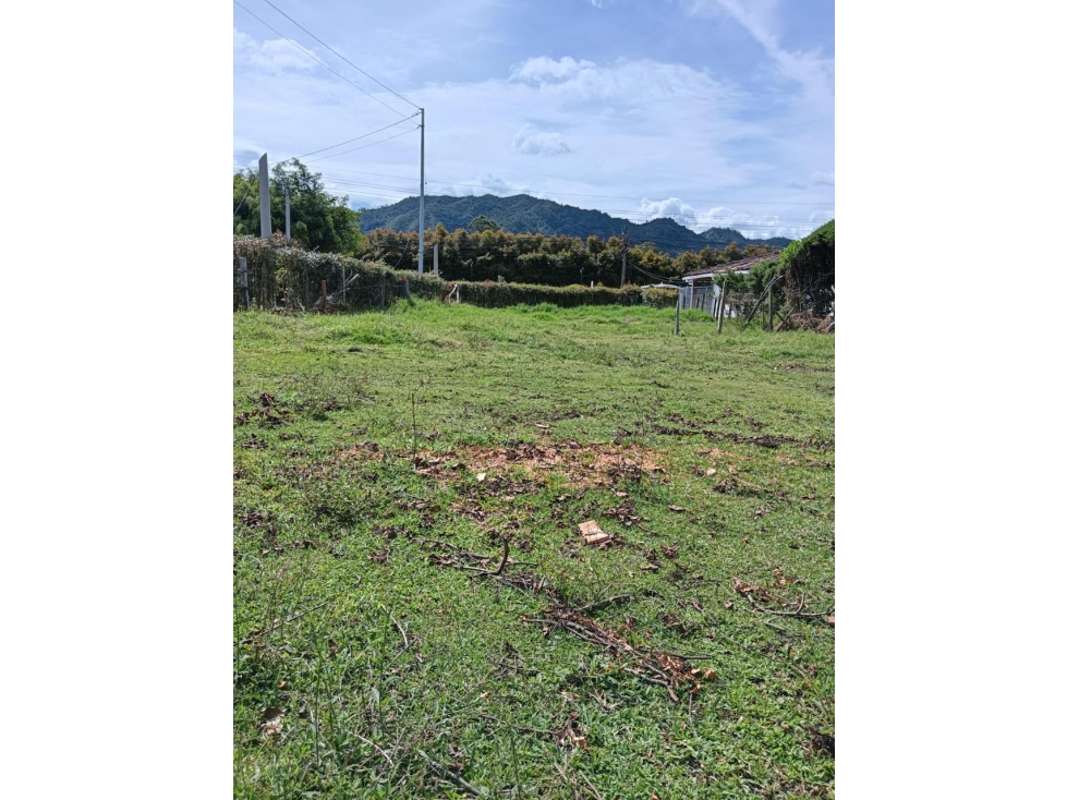 LOTE URBANO SOBRE LA VIA EN SECTOR DE VALORIZACION LA CEJA