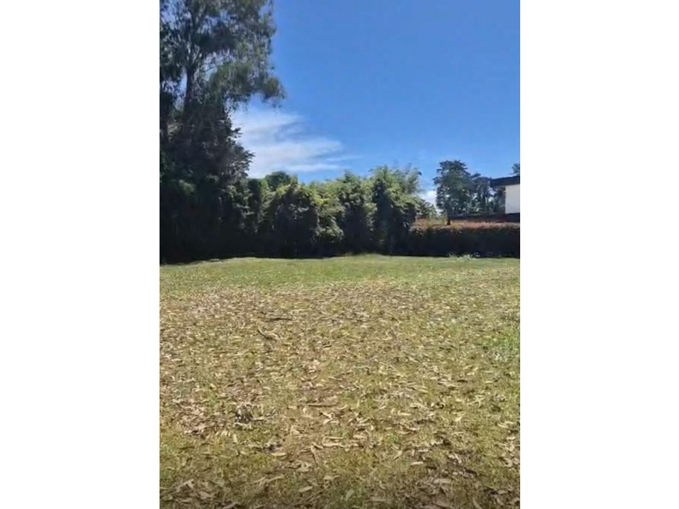 HERMOSO LOTE PLANO EN LLANOGRANDE VEREDA LA AMALITA — foto 6