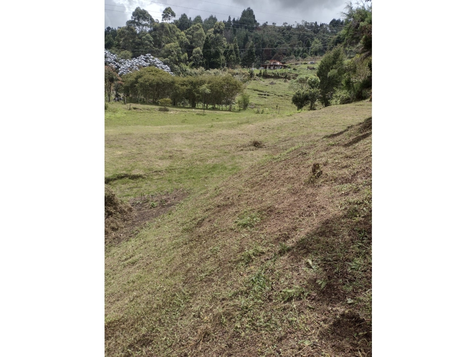 LOTE GUARNE PROINDIVISO PERFECTO PARA PARCELAR — foto 3