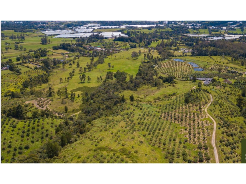 HERMOSO LOTE EN PARCELACION LA CEJA SECTOR EL YARUMO — foto 4