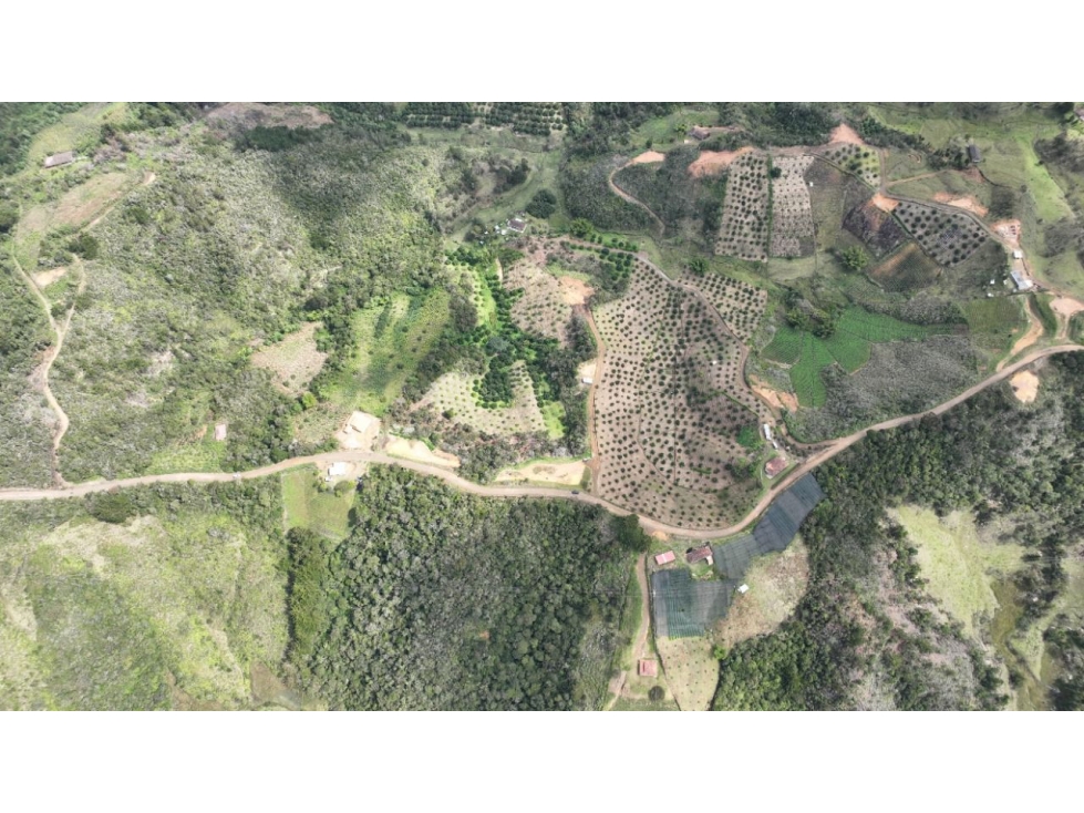HERMOSO LOTE SAN VICENTE FERRER VEREDA MONTEGRANDE CON ESCRITURAS