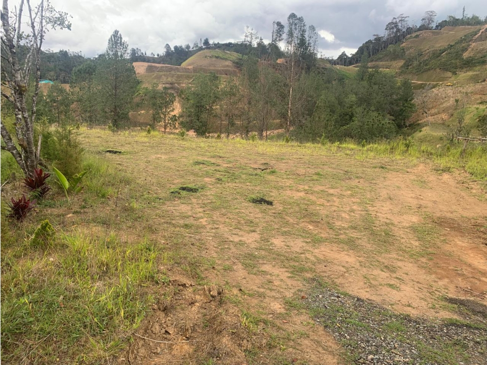 LOTE PRIVADO EL RETIRO VEREDA LEJOS DEL NIDO, EN PARCELACION — foto 2