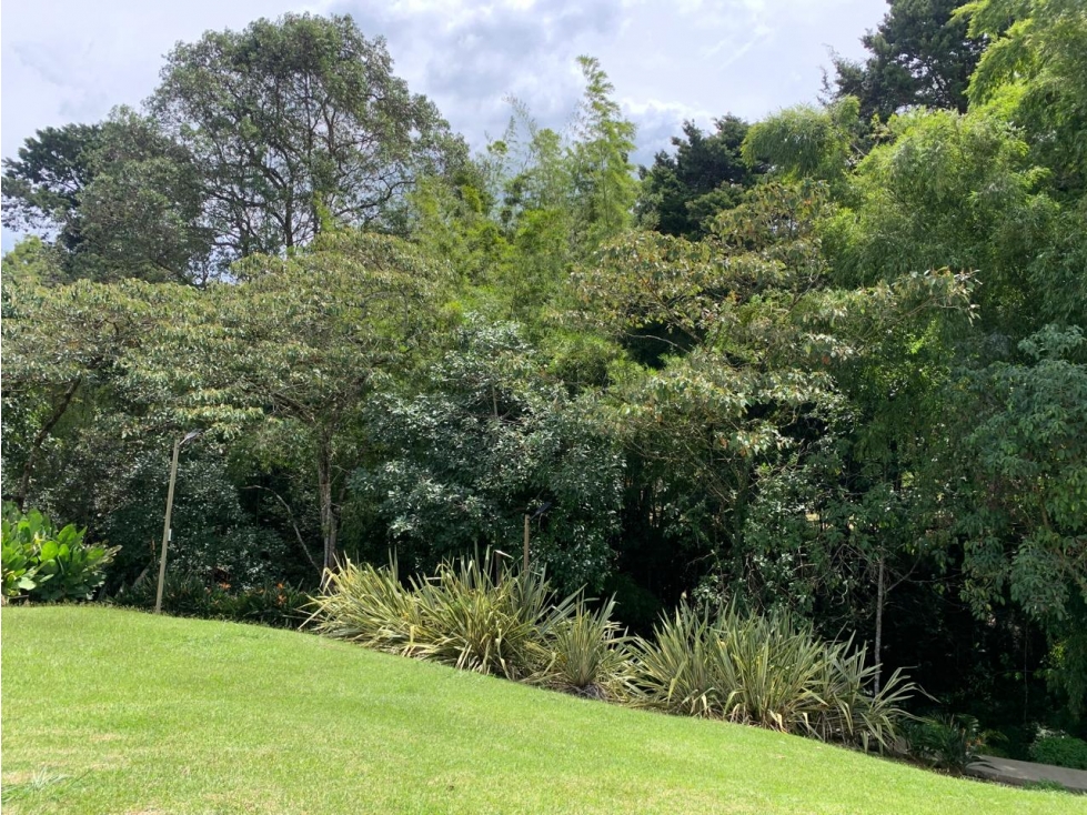 LOTE LLANOGRANDE UNIDAD CERRADA — foto 3
