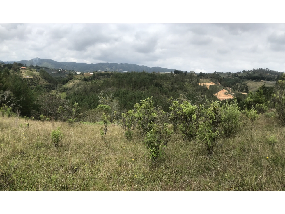 LOTE IDEAL PARA PARCELAR SAN VICENTE VEREDA SAN ANTONIO