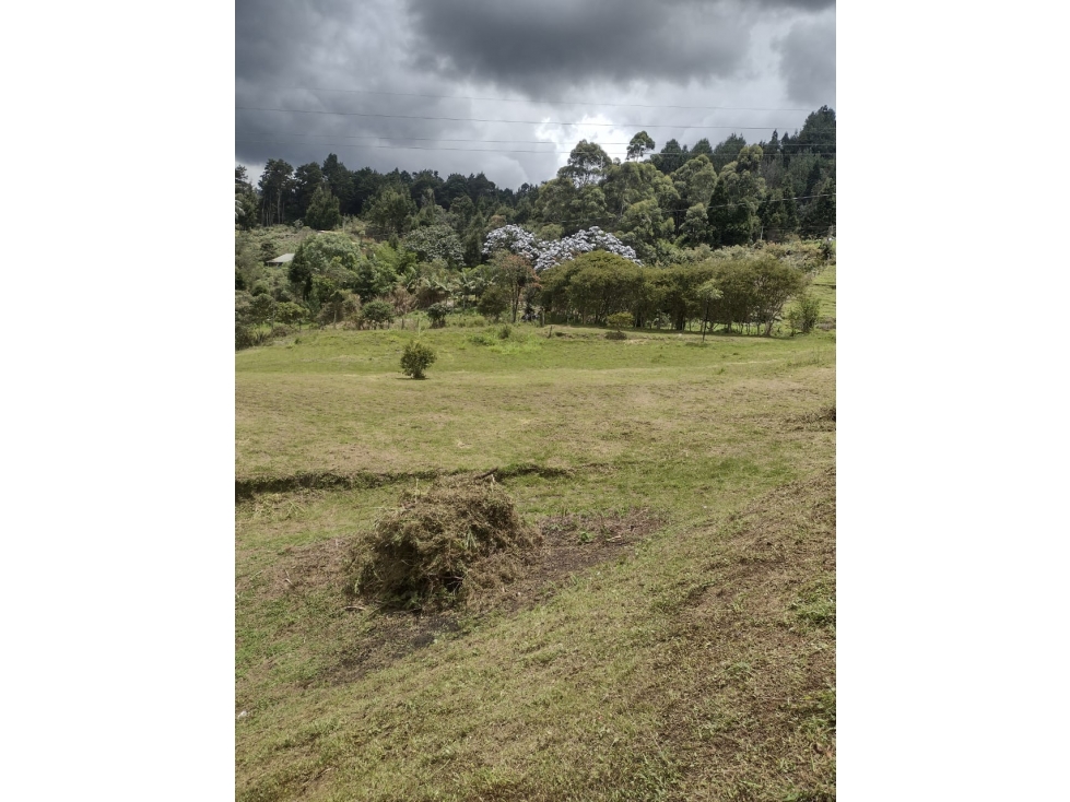 LOTE GUARNE PROINDIVISO PERFECTO PARA PARCELAR — foto 4