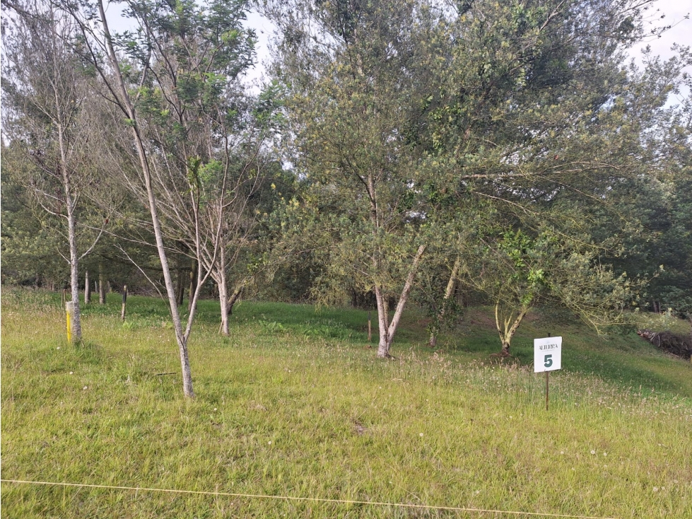 LOTES EN PARCELACION CAMPESTRE ENVIGADO ALTO DE LAS PALMAS — foto 6