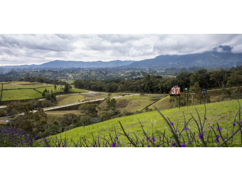 HERMOSOS LOTES EN RIONEGRO VIA SAN ANTONIO LA CEJA — foto 2