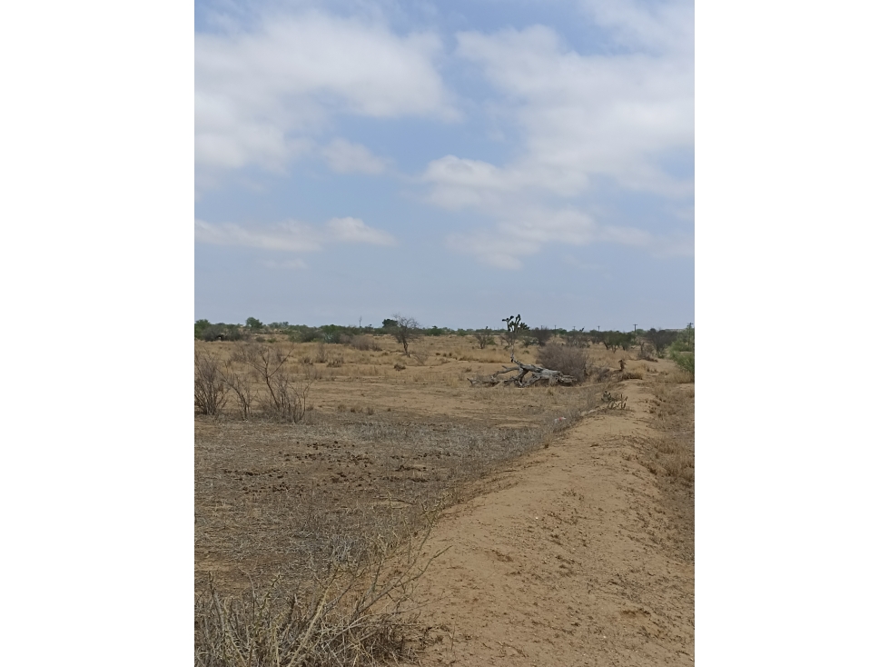 Terreno en Venta en Macuyu Coahuila - 2