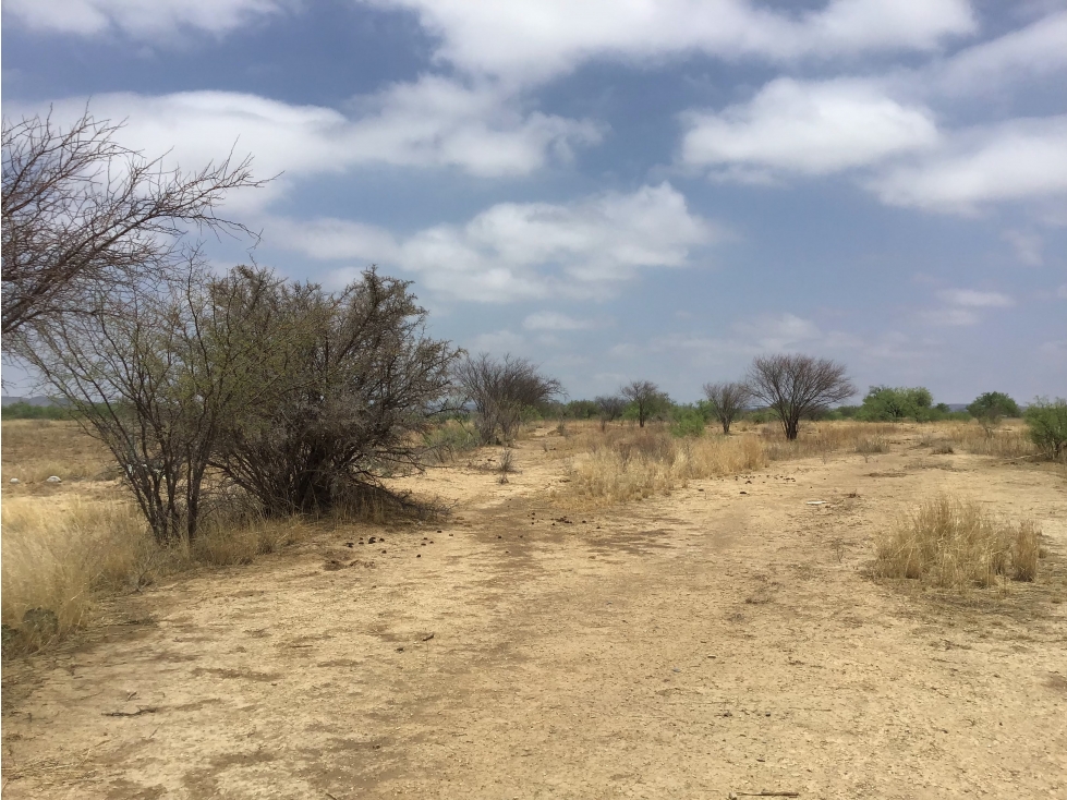 Terreno en Venta en Macuyu Coahuila - 3