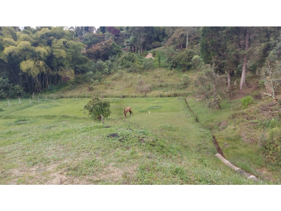 Venta de Lote en Guarne, Vereda Hojas Anchas — foto 3