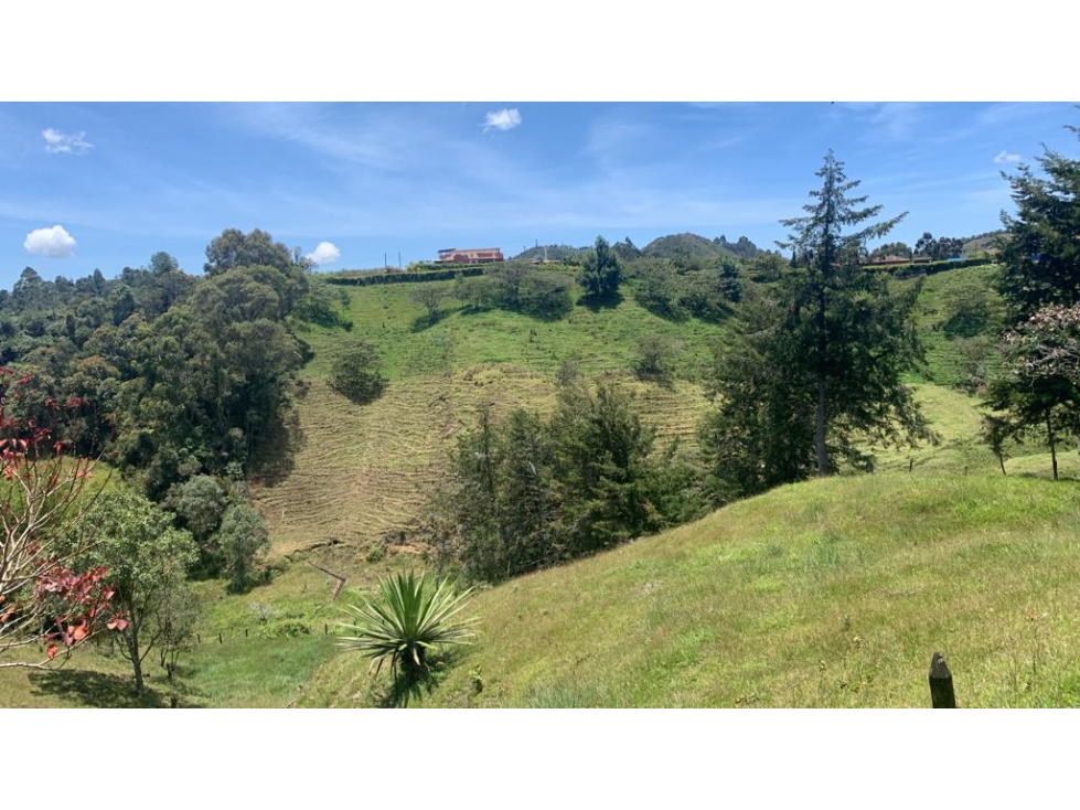 Venta de Finca Campestre en Vereda Potrerito , Santuario - 5