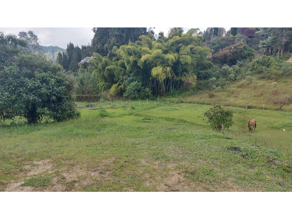 Venta de Lote en Guarne, Vereda Hojas Anchas — foto 4