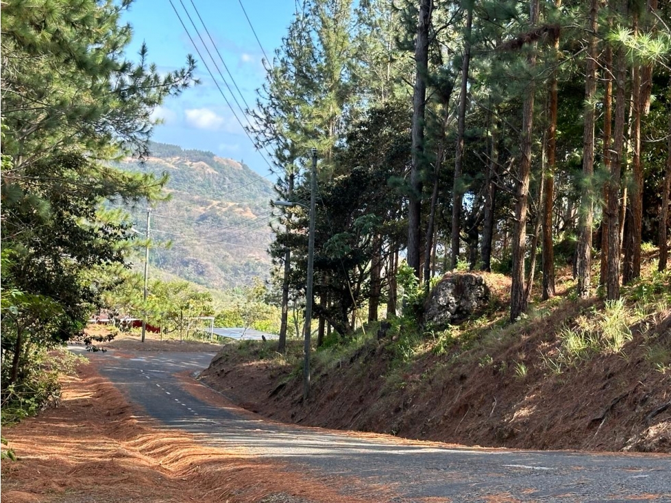 ALTOS DEL MARIA | SE VENDE | TERRENO | 1,017 M2 | ULTIMO PRECIO - 3
