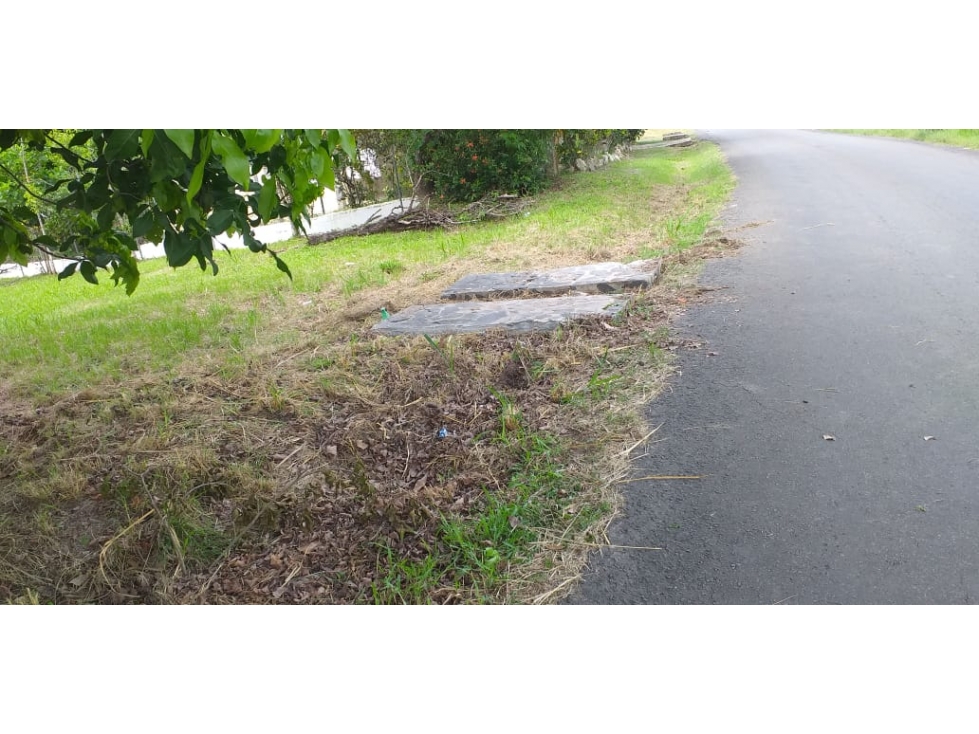 TERRENO EN SAN CARLOS| 540 MTS | TODOS LOS SERVICIOS - 2