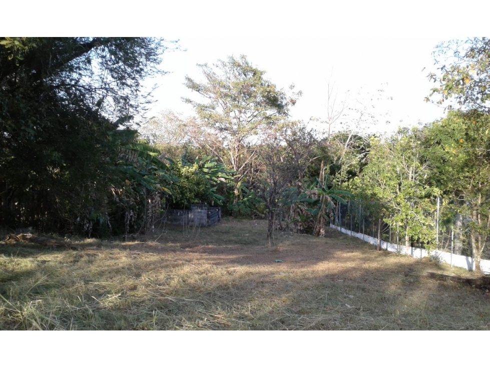 TERRENO EN SAN CARLOS| 540 MTS | TODOS LOS SERVICIOS - 3