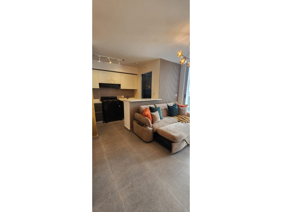 SE ALQUILA APARTAMENTO 2 RECÁMARAS PH PARK SQUARE/RISE, VÍA ESPAÑA — foto 3