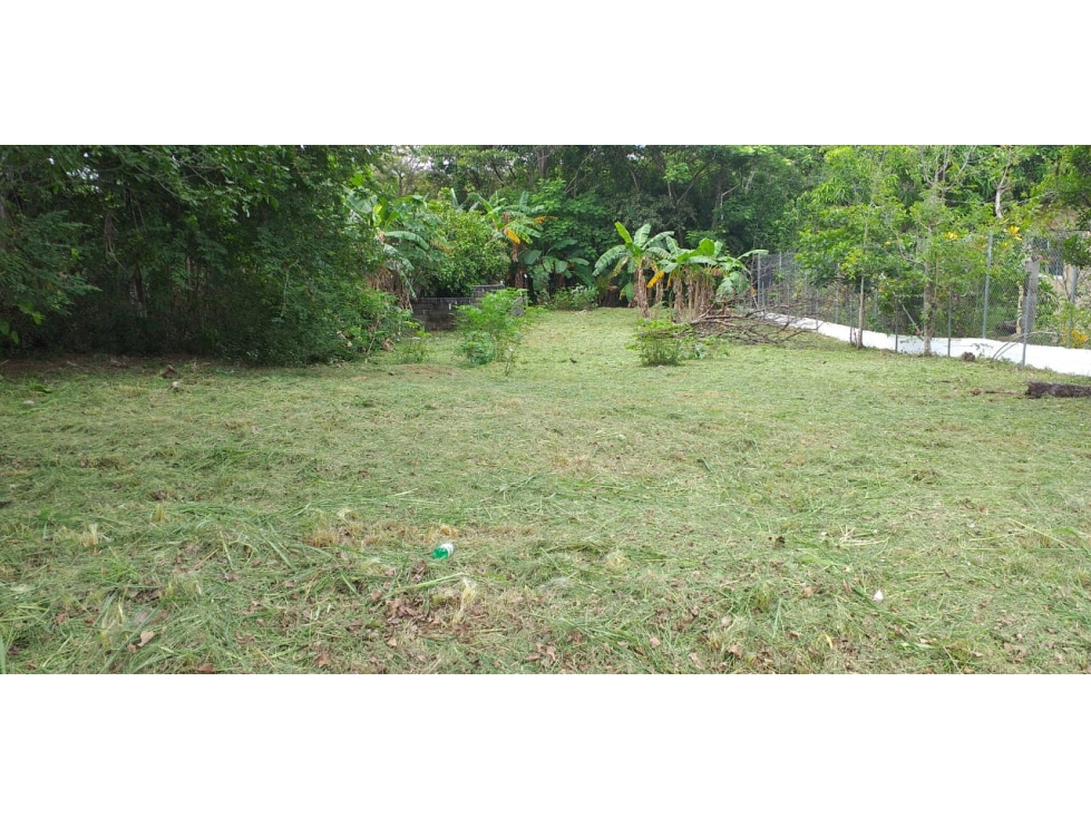 TERRENO EN SAN CARLOS| 540 MTS | TODOS LOS SERVICIOS - 4