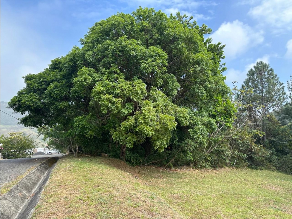 ALTOS DEL MARIA | SE VENDE | TERRENO | 1,017 M2 | ULTIMO PRECIO - 6