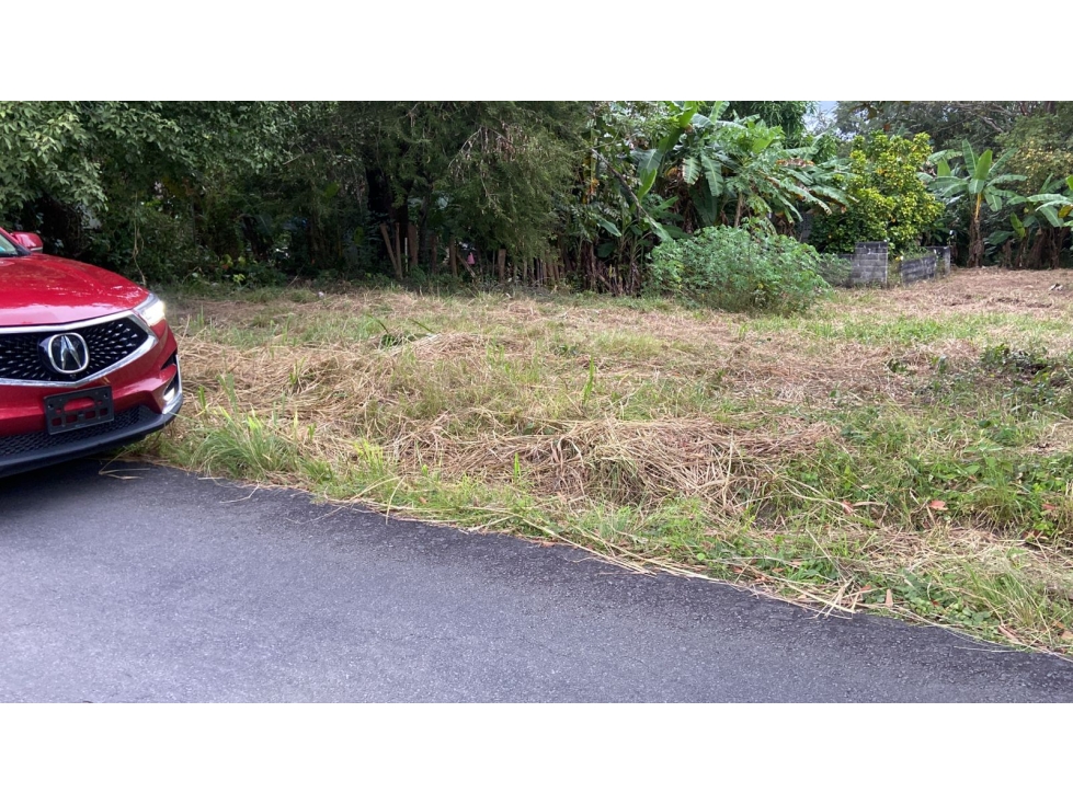 TERRENO EN SAN CARLOS| 540 MTS | TODOS LOS SERVICIOS - 5