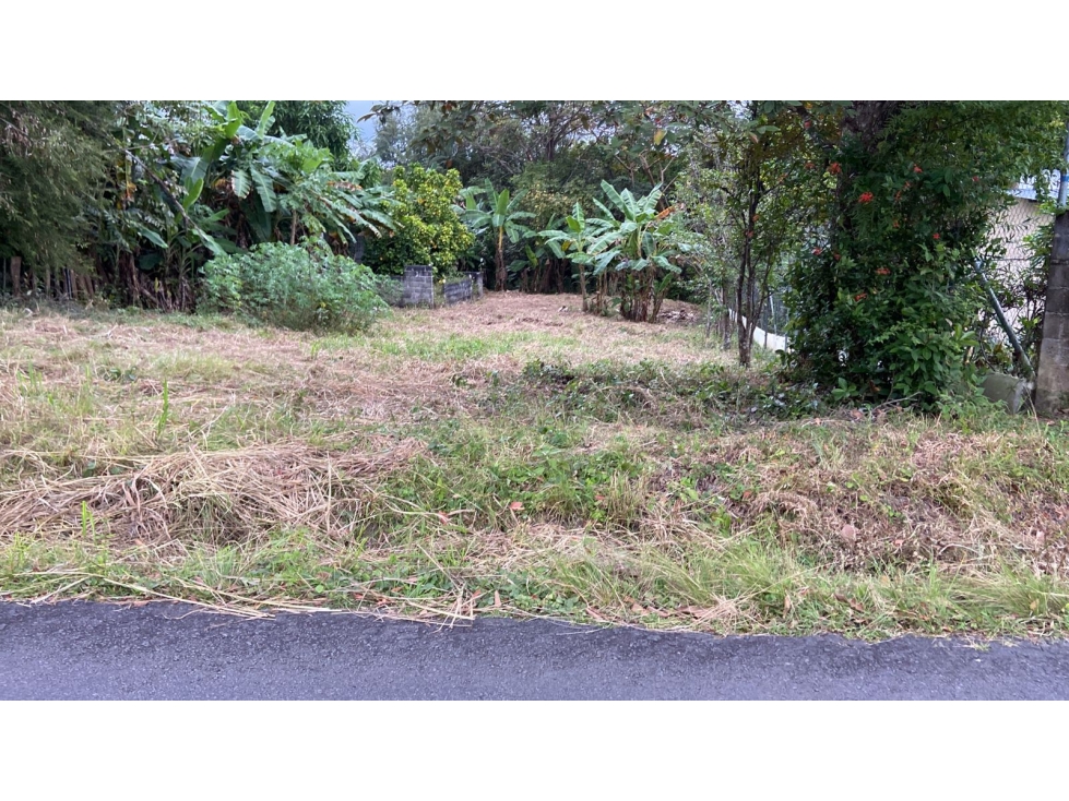 TERRENO EN SAN CARLOS| 540 MTS | TODOS LOS SERVICIOS - 6
