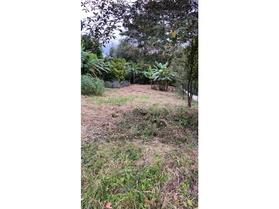 TERRENO EN SAN CARLOS| 540 MTS | TODOS LOS SERVICIOS - 6