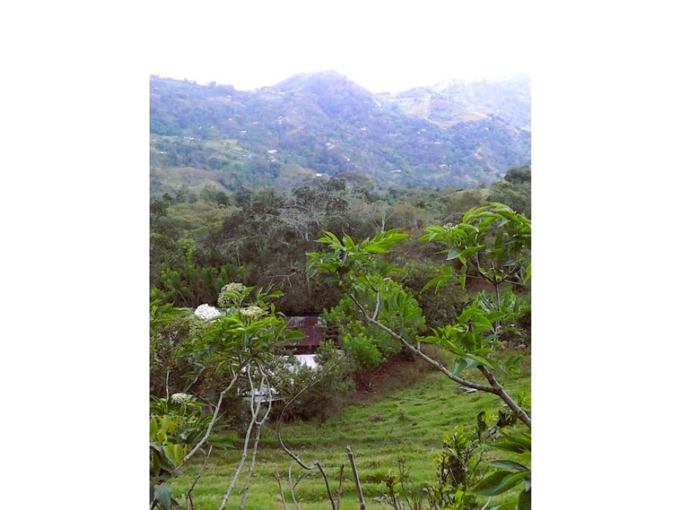 GUAYABAL DE SÍQUIMA TERRENO EN VENTA 38.507M2 con acueducto y luz - 1