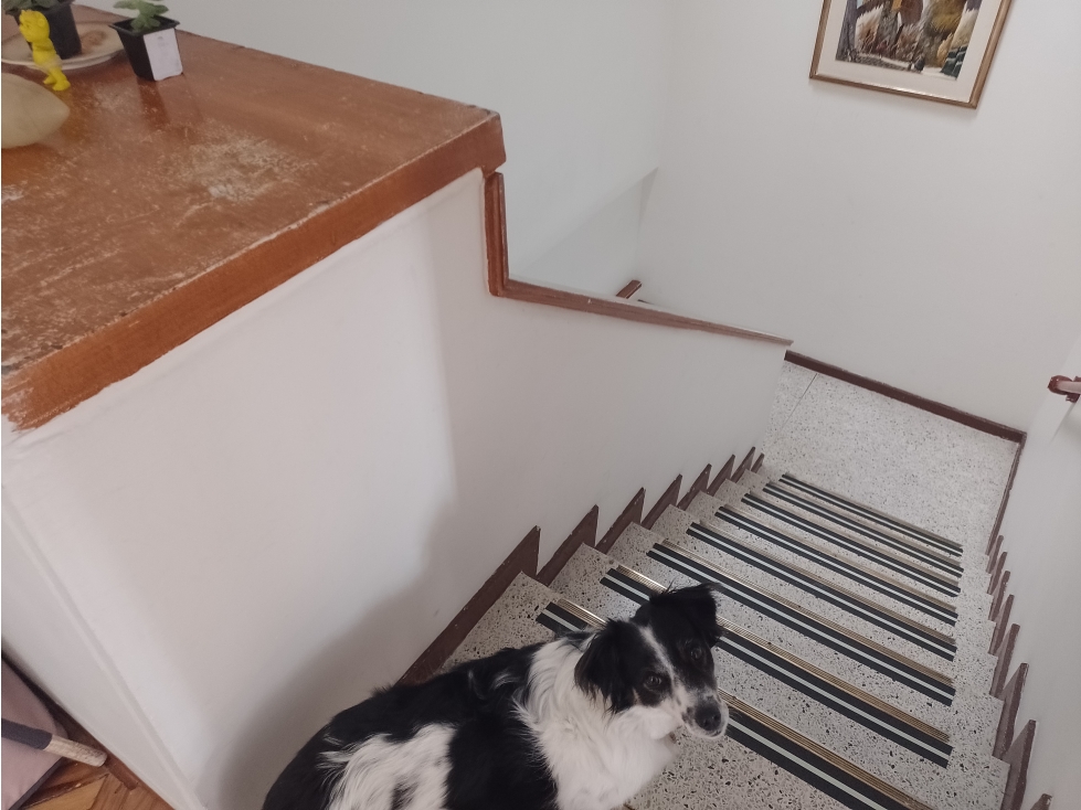 USAQUÉN SANTA ANA OCCIDENTAL CASA EN VENTA O ARRIENDO 250M2 — foto 5