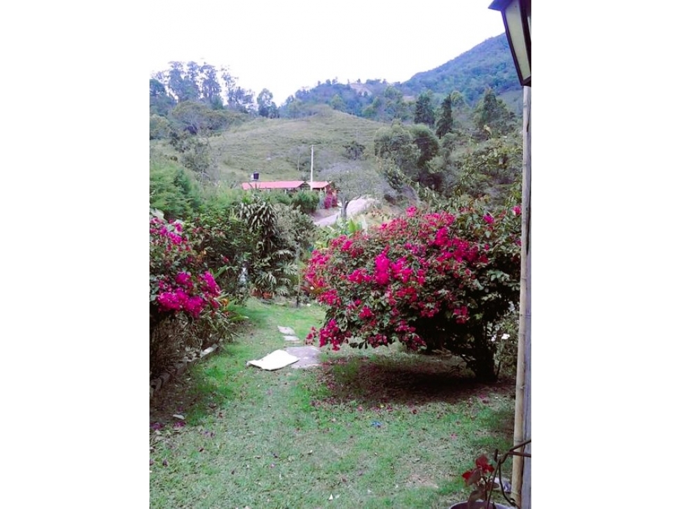 GUAYABAL DE SÍQUIMA TERRENO EN VENTA 38.507M2 con acueducto y luz - 3