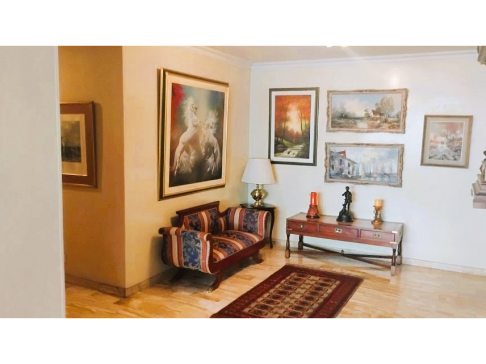 CHICO APARTAMENTO AMOBLADO EN ARRIENDO 201M2 - Sala con chimenea — foto 5