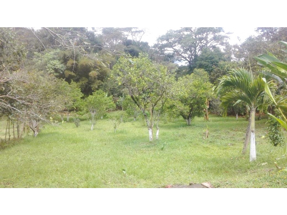 ANOLAIMA FINCA EN VENTA 3400M2 - 1