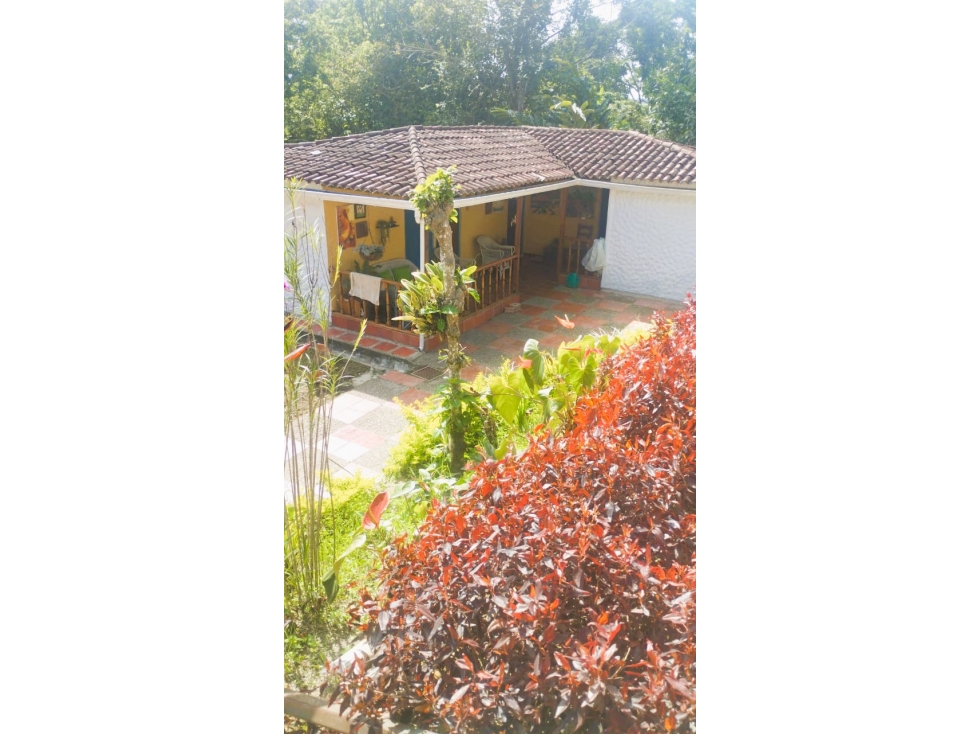 ANOLAIMA FINCA EN VENTA 3400M2 - 3