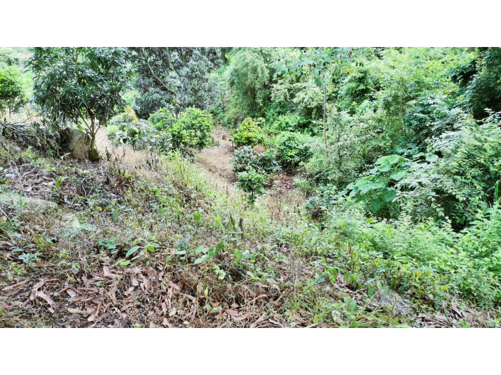 SAN JAVIER, LA MESA LOTE EN VENTA 5100M2 - 4