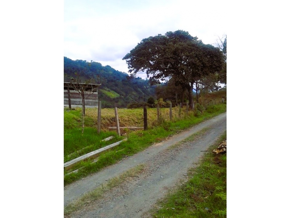 GUAYABAL DE SÍQUIMA TERRENO EN VENTA 38.507M2 con acueducto y luz - 4