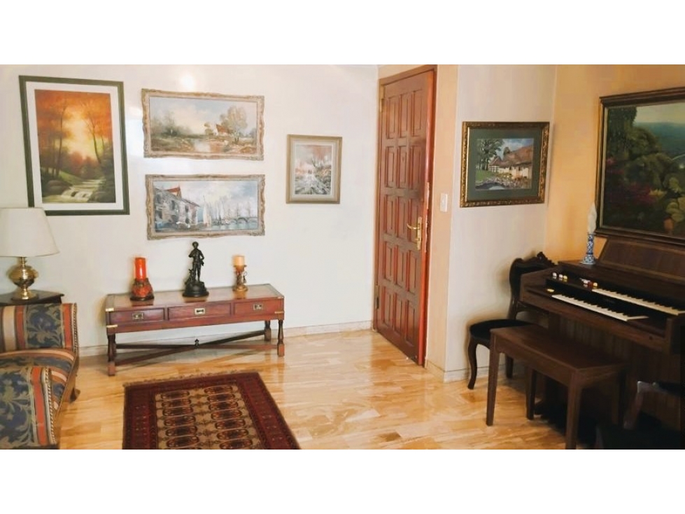 CHICO APARTAMENTO AMOBLADO EN ARRIENDO 201M2 - Sala con chimenea — foto 6