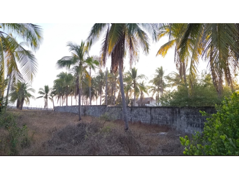 TERRENO EN VENTA EN PIE DE LA CUESTA, COYUCA DE BENITEZ, GUERRERO - 2