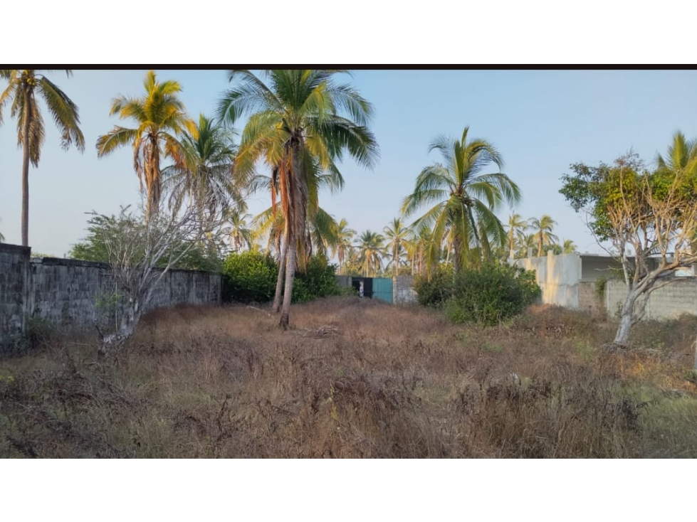 TERRENO EN VENTA EN PIE DE LA CUESTA, COYUCA DE BENITEZ, GUERRERO - 3