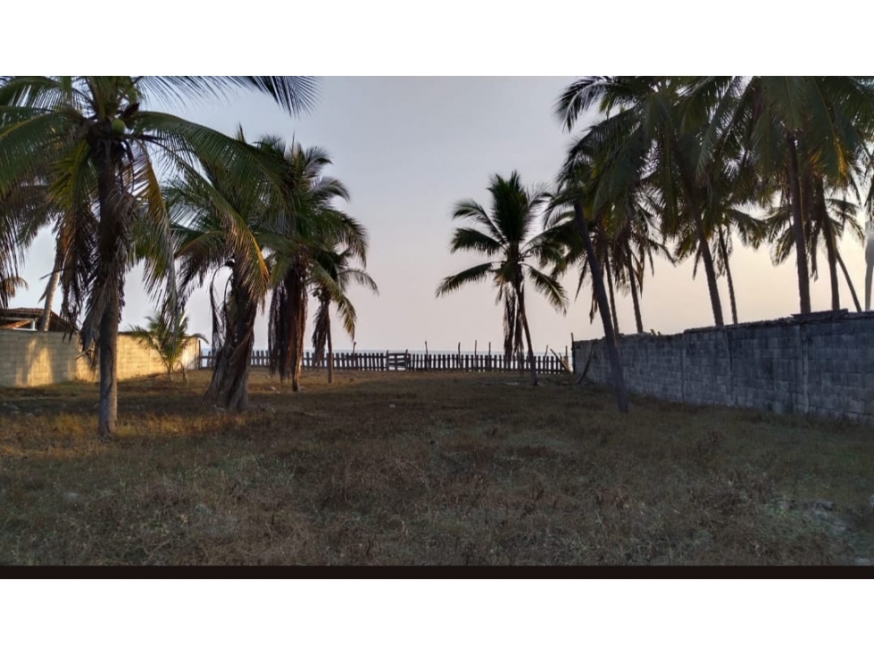 TERRENO EN VENTA EN PIE DE LA CUESTA, COYUCA DE BENITEZ, GUERRERO - 4