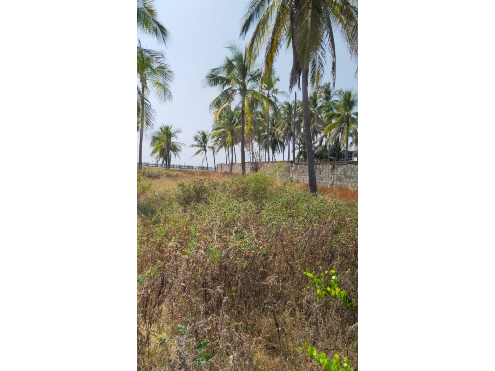 TERRENO EN VENTA EN PIE DE LA CUESTA, COYUCA DE BENITEZ, GUERRERO - 6