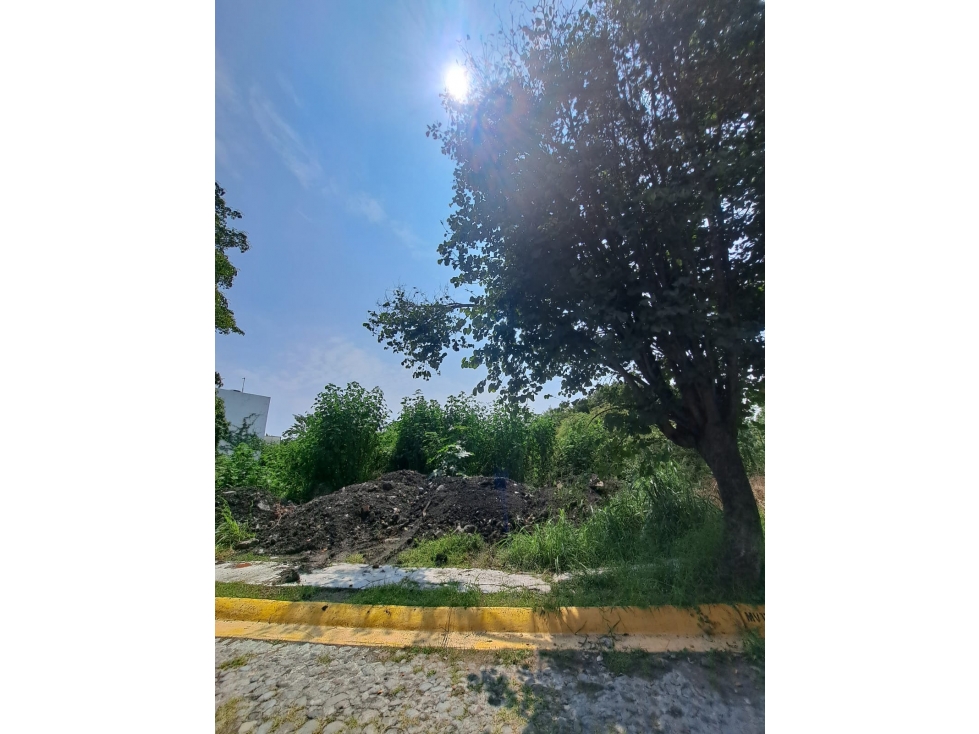 Terrenos en Venta, Burgos Bugambilias: Gran Inversión Para Tu Proyecto - 3