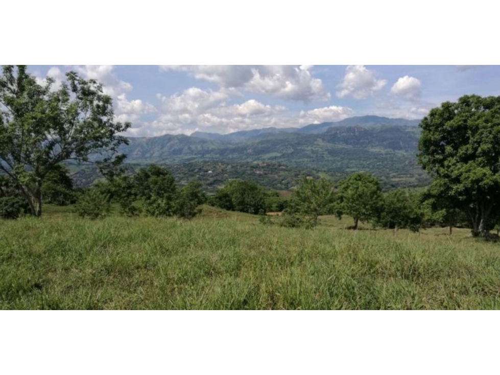 VENTA DE LOTE EN UNIDAD CERRADA EN CAMINOS DE CARTAMA EN EL SUROESTE - 4