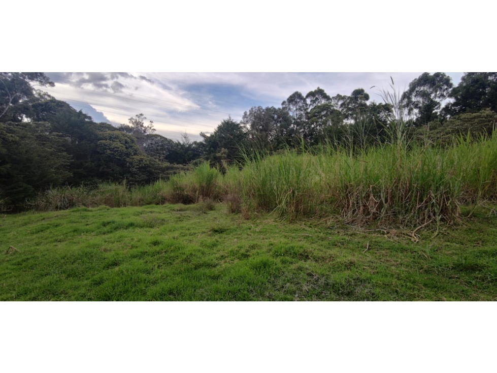 VENTA DE LOTE EN LA CEJA EN EXCELENTE UBICACION