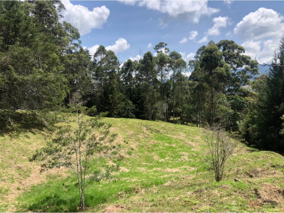 VENTA DE LOTE INDEPENDIENTE ENTRE SAN ANTONIO Y LA CEJA