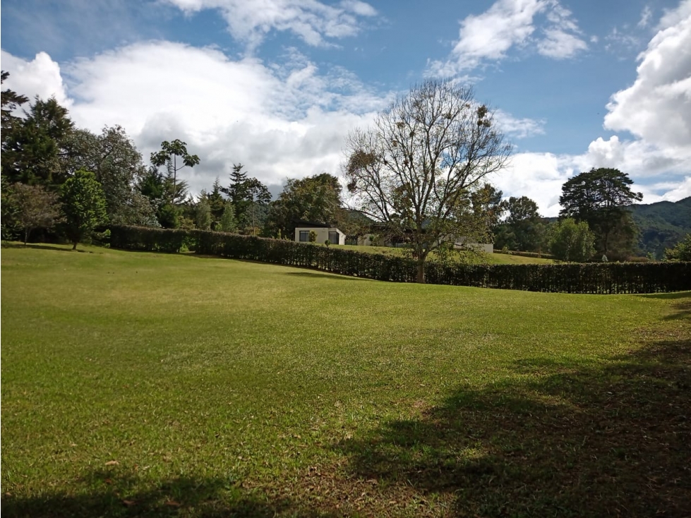 LOTE SITUADO EN FIZEBAD