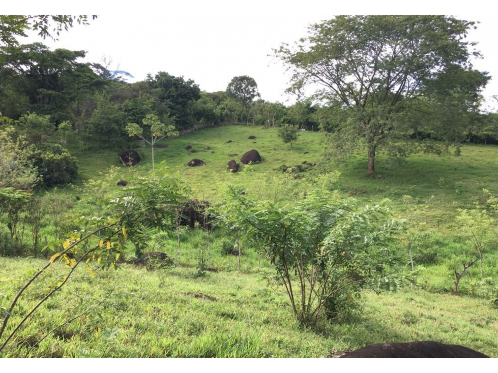 VENTA DE LOTE EN UNIDAD CERRADA EN CAMINOS DE CARTAMA EN EL SUROESTE - 6