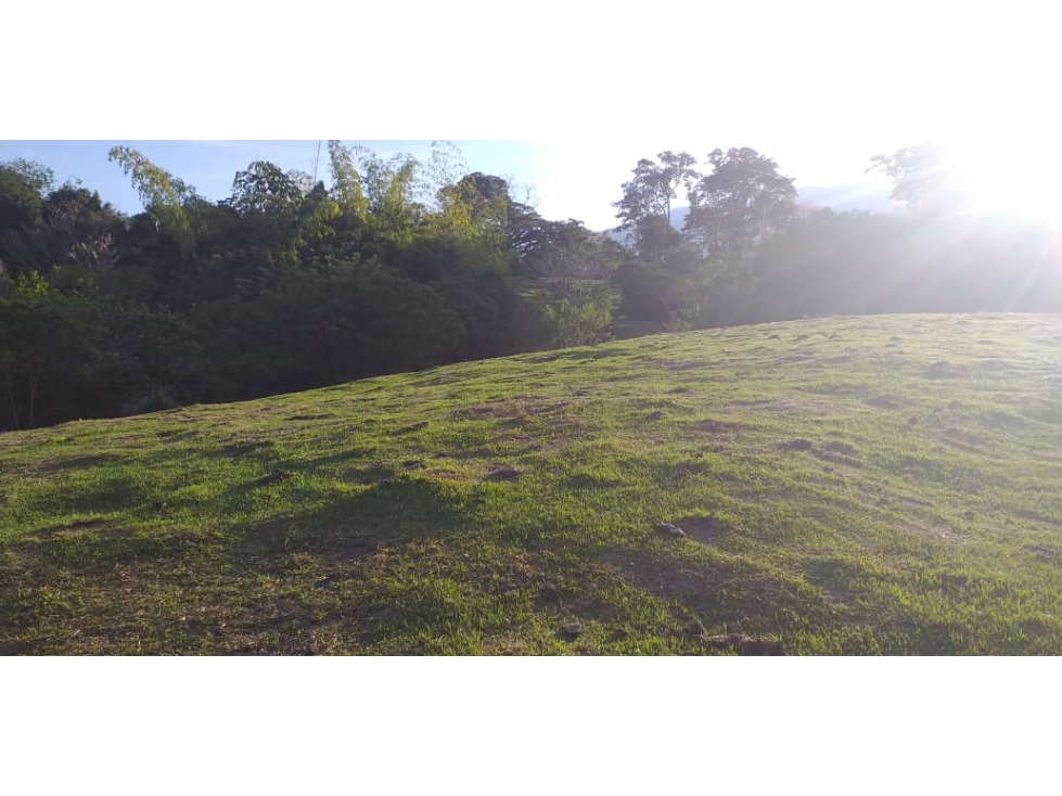 VENTA DE LOTE EN UNIDAD CERRADA EN CAMINOS DE CARTAMA EN EL SUROESTE - 5