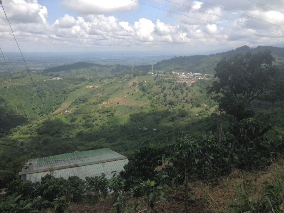 Finca en Venta, Buenavista, Quindio Ref. 4427 - 1