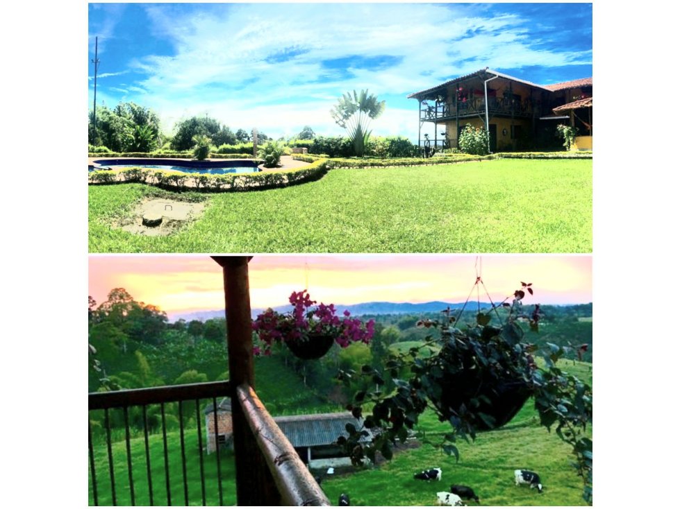 FINCA TURISTICA GLAMPING Y GANADERA CIRCASIA 4734 — foto 5