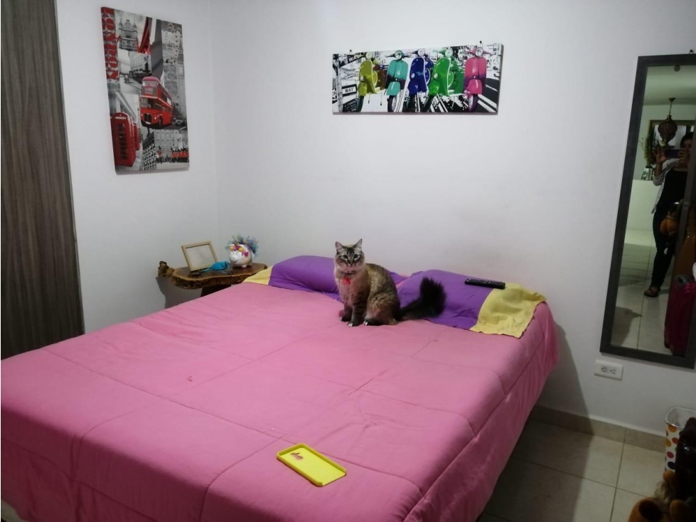 APARTAMENTO PRECIO OPORTUNIDAD SECTOR LA PAVONA ARMENIA 40-41 — foto 5