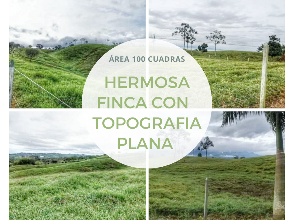 FINCA GRANDE A LA VENTA VIA CIRCASIA REF 4810