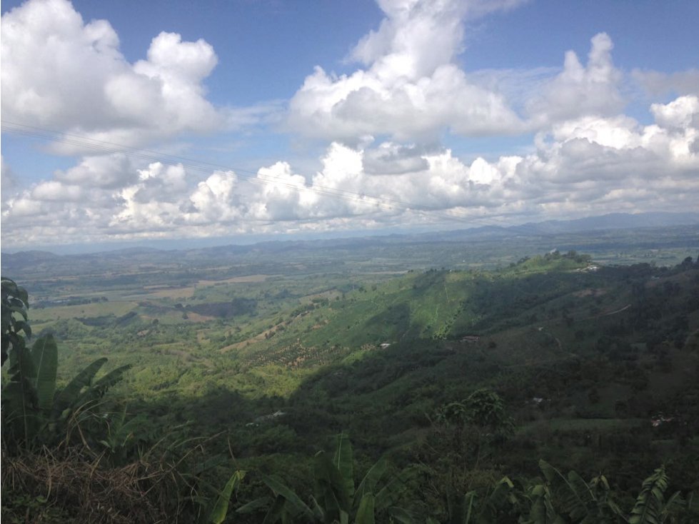 Finca en Venta, Buenavista, Quindio Ref. 4427 - 5